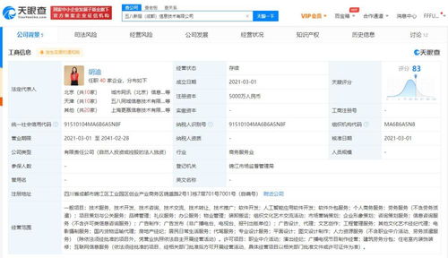軟件銷(xiāo)售 數(shù)字時(shí)代的技術(shù)市場(chǎng)策略